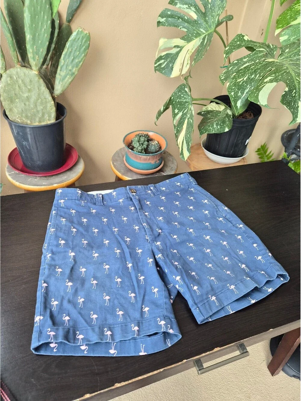 J.Crew Men’s 7” Inseam Flamingo Print Chino Shorts Blue Pink Size 31